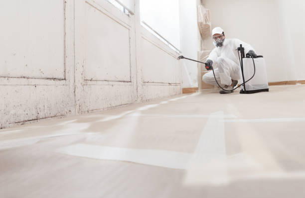 24/7 Emergency Commercial Mold Remediation experts in Palm Harbor, FL